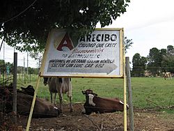 Garrochales, Arecibo, Puerto Rico.jpg