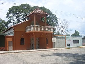 Archivo:Guanare 2010 022