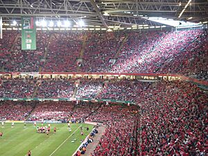 Archivo:HeinekenCupFinal06MunsterVBiarritz200506SmallByMike