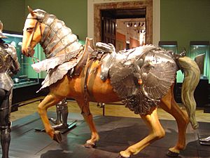 Archivo:Horse suit of armor DSC02189