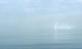 Iceberg mist.jpg