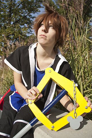 Kingdom Hearts (10379693364).jpg