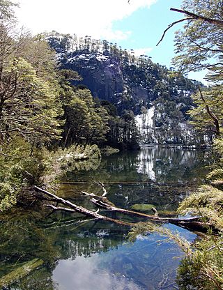 Lago chico parque nacional huerquehue chile flickrcom puconino.jpg