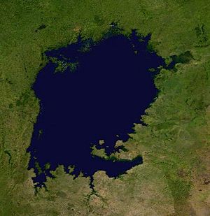 Archivo:Lake Victoria composite satellite photo