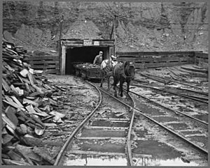 Archivo:Mine portal with ponies. S. C. Streams Black Diamond Mine, Creekside, Indiana County, Pennsylvania. - NARA - 541530