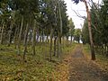 Mount Kinkeisan