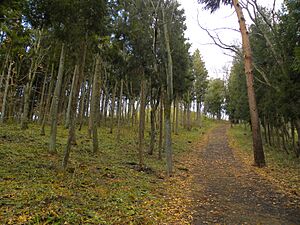 Archivo:Mount Kinkeisan