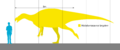 Muttaburrasaurus Scale