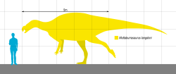Archivo:Muttaburrasaurus Scale