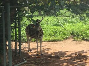 Archivo:National Children's Park, Abuja 4
