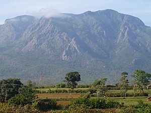Archivo:Nilgiris - Copy