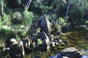 Archivo:Onkaparinga Gorge