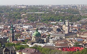 Archivo:Panorama lwowa