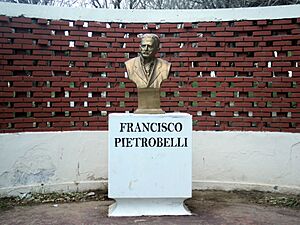 Archivo:Pietrobelly