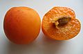 Plumcot
