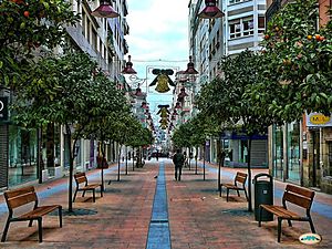 Archivo:Pontevedra. Rúa Rosalía de Castro