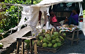 Archivo:Puesto de venta de coco, uno de los principales ingredientes de la gastronomía de Santa Lucía.