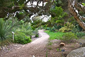 Quail botanical gardens.jpg