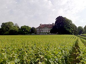 Archivo:Saint-Saphorin-sur-Morges Castle
