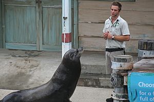 Archivo:Seal show at Taronga