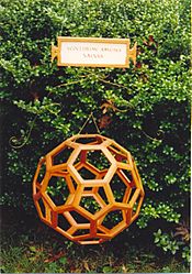 Archivo:Truncated icosahedron cherry model by George W. Hart