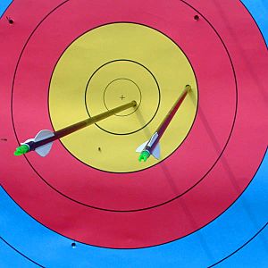 Archivo:WA archery target with arrows