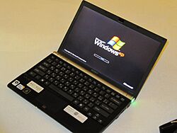 Windows XP booting on Sony Vaio 20100216.jpg