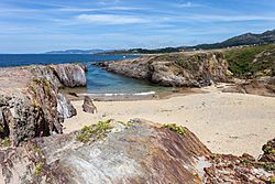 Archivo:2014 Cala na Praia das Furnas Xuño Porto do Son Galiza-F8