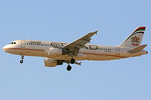 Archivo:Airbus A320-211, Etihad Airways AN1314317