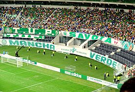 Archivo:Allianz Parque Gol Norte