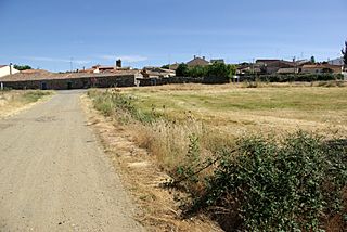 Bernuy-Salinero 01 by-dpc.jpg