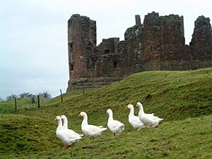 Archivo:Brough Castle - geograph.org.uk - 17753