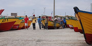 Caleta Choros