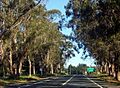 Camino Algarrobo al Totoral