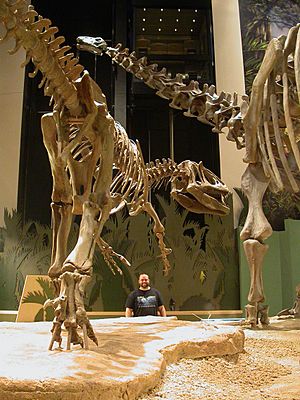 Archivo:Clash of Titans Saurophaganax and Apatosaurus