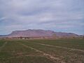 Colonia-dublan-pajarito