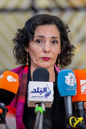 Archivo:EU2024BE 240219 FAC Council JNZT 0017 (53538866960)
