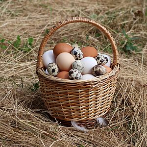 Archivo:Eggs in basket 2020 G1