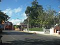 El Callejón del Árbol, Mérida, Yucatán (01)