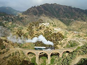 Archivo:Eritrean Railway - 2008-11-04-edit3