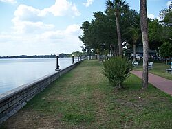 Ferran Park2.jpg