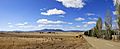 Fields outside benambra