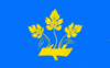 Flag of Stavanger.gif