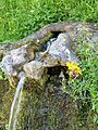 Fuente de La Gorgorita