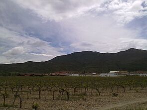 Archivo:Galipentzu Berria