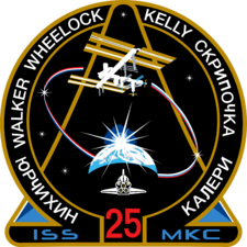 ISS Expedition 25 Patch
