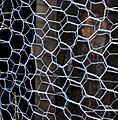 Image-Chicken wire