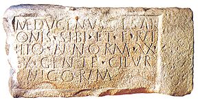 Archivo:Lapida Cilurnigos