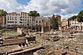 Largo di Torre Argentina (8089892320)