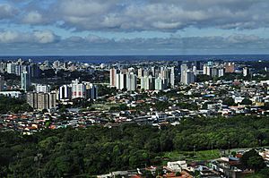 Archivo:Manaus aerial view